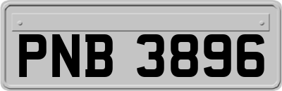 PNB3896