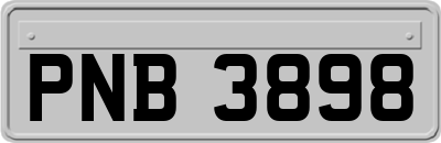 PNB3898