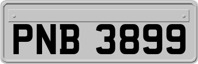 PNB3899