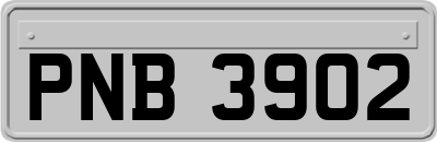 PNB3902