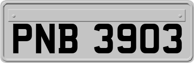 PNB3903