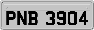 PNB3904