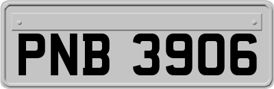 PNB3906