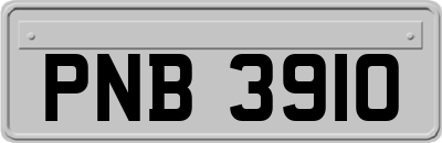 PNB3910