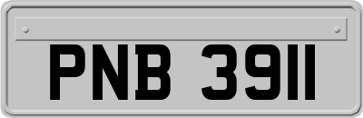 PNB3911