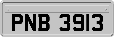 PNB3913