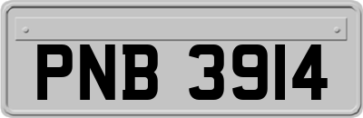 PNB3914