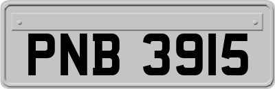 PNB3915