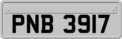 PNB3917