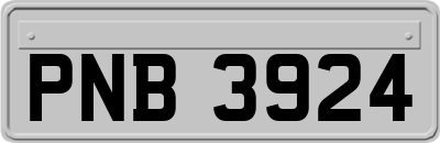 PNB3924