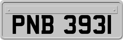 PNB3931