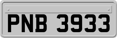 PNB3933