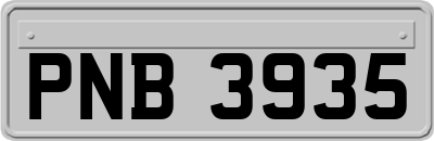 PNB3935