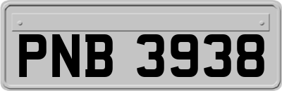PNB3938