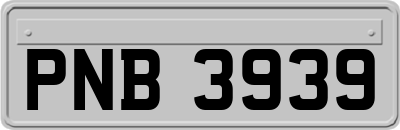 PNB3939
