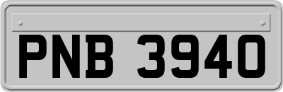 PNB3940