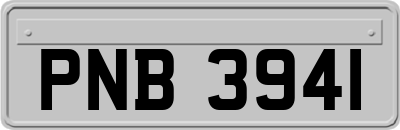 PNB3941