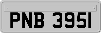 PNB3951
