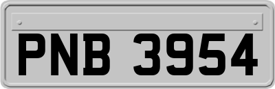 PNB3954