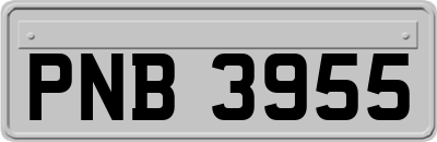 PNB3955