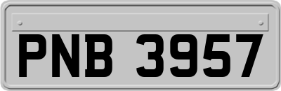 PNB3957