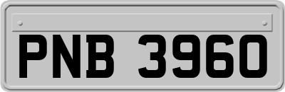 PNB3960