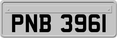 PNB3961