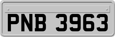 PNB3963