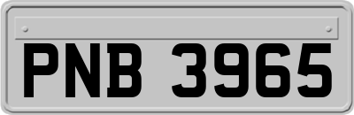 PNB3965