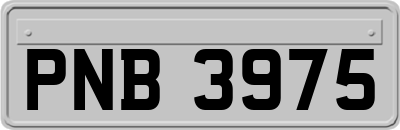 PNB3975