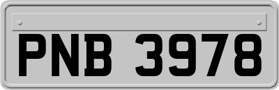 PNB3978