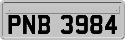PNB3984