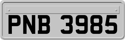 PNB3985
