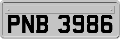PNB3986