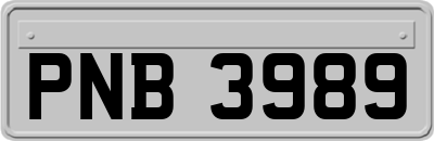 PNB3989
