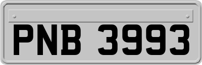 PNB3993