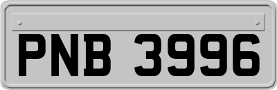 PNB3996