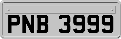 PNB3999