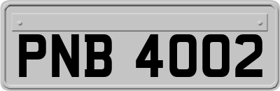 PNB4002