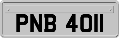 PNB4011