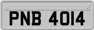 PNB4014