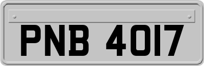 PNB4017