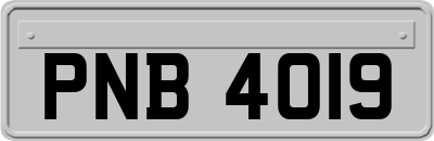 PNB4019