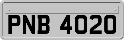 PNB4020
