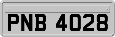 PNB4028