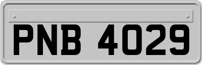 PNB4029