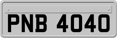 PNB4040