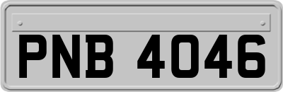 PNB4046
