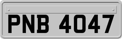 PNB4047