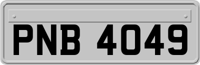 PNB4049